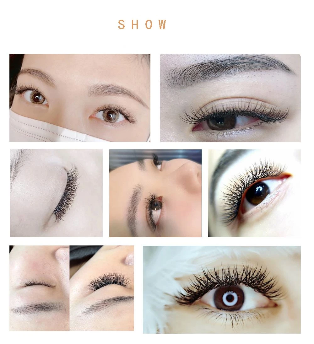 Y Lashes show Y Lashes show